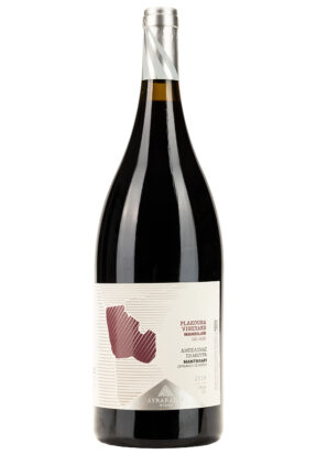 {{brizy_dc_image_alt entityId=