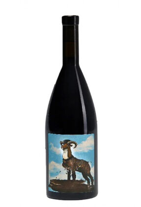 {{brizy_dc_image_alt entityId=